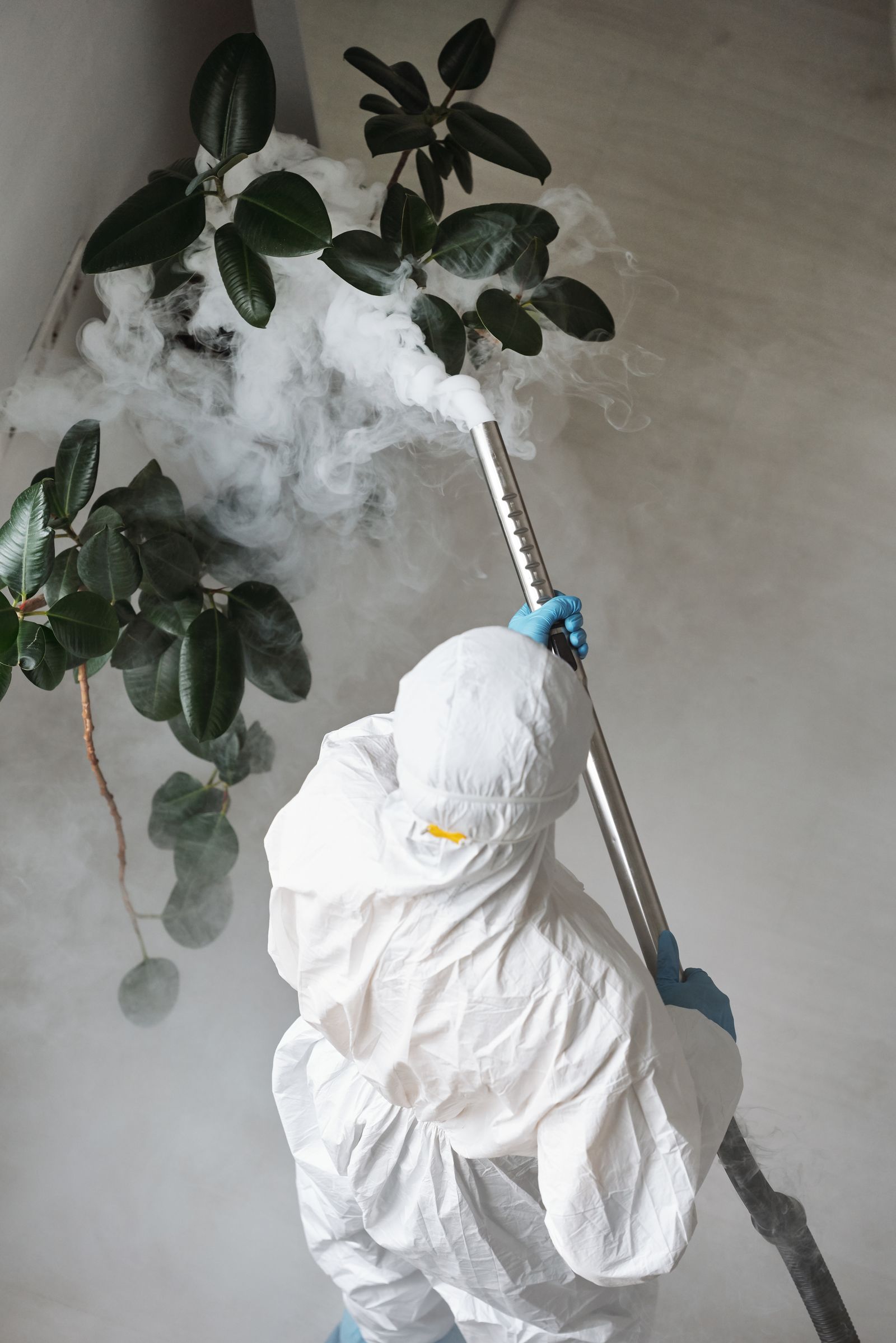 A technician in a white protective suit applying a fine treatment to indoor foliage
